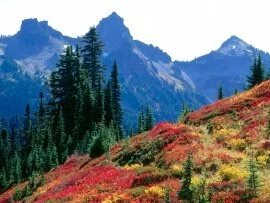 Fall Spectrum in the Tatoosh Range, Mount Rainie.jpg (click to view)