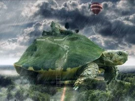 Fantasy Turtle Digital World