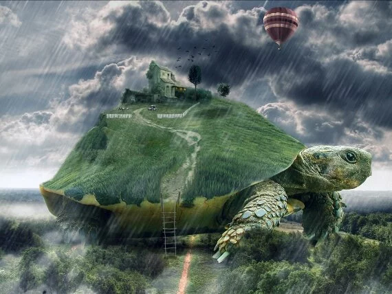 Fantasy Turtle Digital World (click to view)