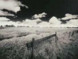 Field, Cheshire, England (Infrared Film) - 1600x.jpg