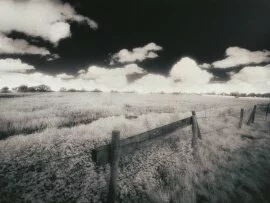 Field, Cheshire, England (Infrared Film) - 1600x.jpg (click to view)