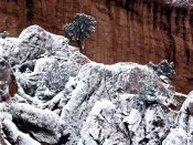 Frosted Rocks, Red Rock Cliffs, C.jpg