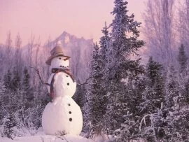 Frosty the Snowman - - .jpg (click to view)