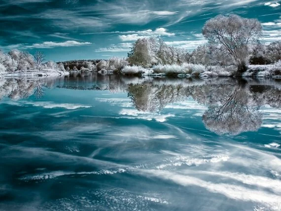 Frozen Infrared Landscape (click to view)