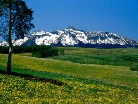Full Bloom, San Juan Mountains, Colorado - 1600x.jpg (click to view)