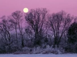 Full Moon over Edwin Warner Park,.jpg (click to view)