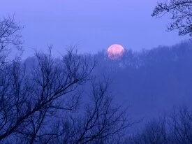 Full Moon Setting, Percy Warner State Park, Tenn.jpg