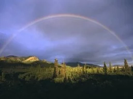 Full Rainbow Fall, Denali National Park, Alaska .jpg