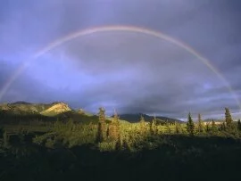 Full Rainbow Fall, Denali National Park, Alaska .jpg (click to view)