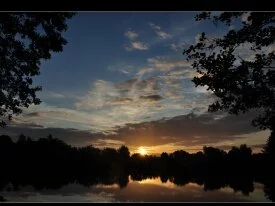 Goldsworth Park Lake Sunrise