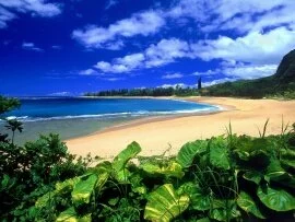 Haena Beach, Kauai, Hawaii - - ID 4537.jpg (click to view)