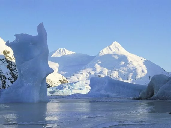 Icebergs, Portage Glacier, Alaska.jpg (click to view)