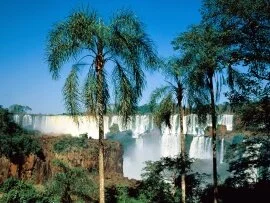 Iguassu Falls, Argentina - - ID 25952.jpg (click to view)