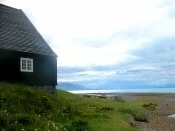 img16.jpg