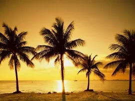 Key Biscayne, near Miami, Florida - - .jpg Key Biscayne, near Miami, Florida - - .jpg (click to view)
