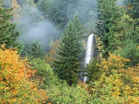 Latourell Falls, Columbia River, Oregon - 1600x1.jpg (click to view)