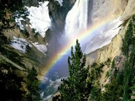 Lower Falls, Yellowstone National Park - 1600x12.jpg