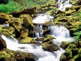 Lower Proxy Falls, Three Sisters Wilderness, Wil.jpg Lower Proxy Falls, Three Sisters Wilderness, Wil.jpg (click to view)