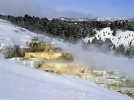 Mammoth Hot Springs, Yellowstone National Park, .jpg