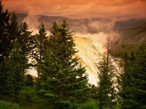 Mammoth Terraces, Yellowstone National Park, Wyo.jpg (click to view)