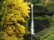 Middle North Falls, Silver Falls, Oregon - 1600x.jpg