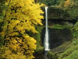 Middle North Falls, Silver Falls, Oregon - 1600x.jpg (click to view)