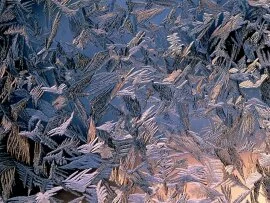 Morning Frost - - ID 36.jpg (click to view)