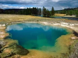 Morning Glory Pool, Yellowstone National Park, W.jpg