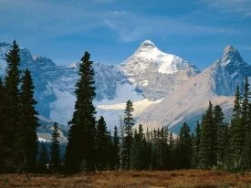 Mount Athabasca, Jasper National Park, Alberta -.jpg