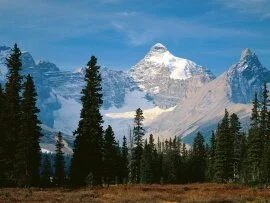 Mount Athabasca, Jasper National Park, Alberta -.jpg (click to view)