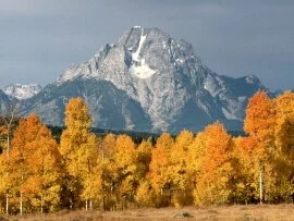 Mount Moran in Autumn, Wyoming - - ID .jpg (click to view)