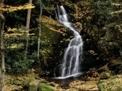 Mouse Creek Falls, Great Smoky Mountains, North .jpg