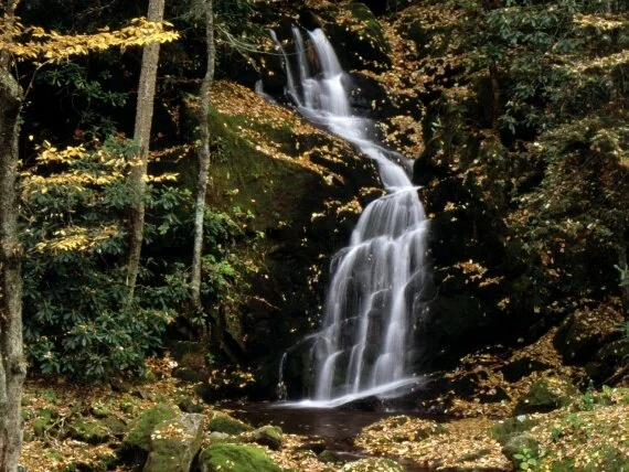 Mouse Creek Falls, Great Smoky Mountains, North .jpg (click to view)