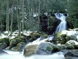 Mouse Creek Falls in Winter, Great Smoky Mountai.jpg (click to view)