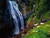 Narada Falls, Mount Rainier National Forest, Was.jpg