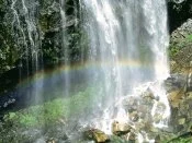 Narada Falls, Mount Rainier National Park, Washi.jpg
