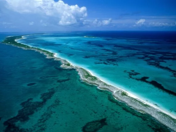 New Providence Islands, Bahamas - - ID.jpg (click to view)