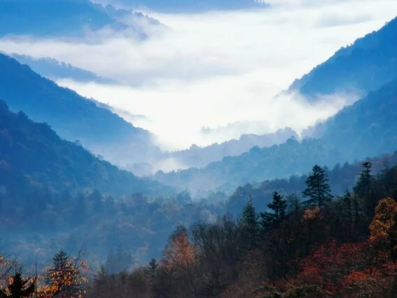 Newfound Gap, Great Smoky Mountains (click to view)
