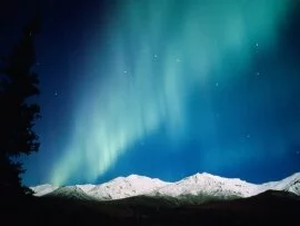 Night Lights, Aurora Borealis, Alaska - .jpg (click to view)