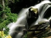 Paradise River Waterfall, Washington - .jpg