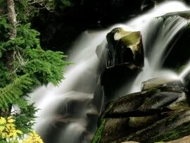 Paradise River Waterfall, Washington - .jpg (click to view)
