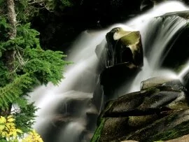 Paradise River Waterfall, Washington - .jpg Paradise River Waterfall, Washington - .jpg (click to view)
