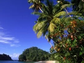 Paria Beach, Trinidad - - ID 45445.jpg