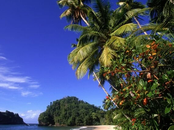Paria Beach, Trinidad - - ID 45445.jpg (click to view)