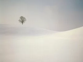 Peaceful Season, near Hirzel, Swi.jpg (click to view)