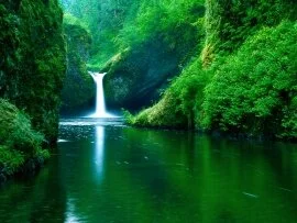 Punch Bowl Falls, Eagle Creek Wilderness Area, C.jpg (click to view)