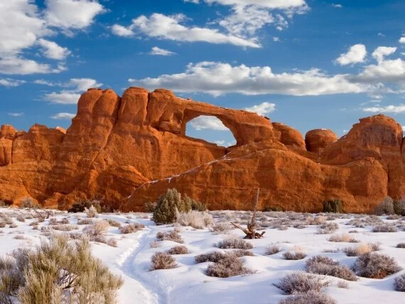 Red Rock Snow Landscape (click to view)