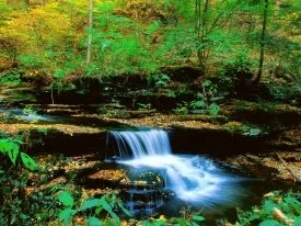 Ricketts Glen State Park, Pennsylvania - 1600x12.jpg