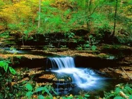 Ricketts Glen State Park, Pennsylvania - 1600x12.jpg (click to view)