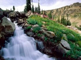 Rushing Waters of Spring, Grand Teton National P.jpg (click to view)